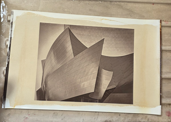 Platinum-Paladium prints